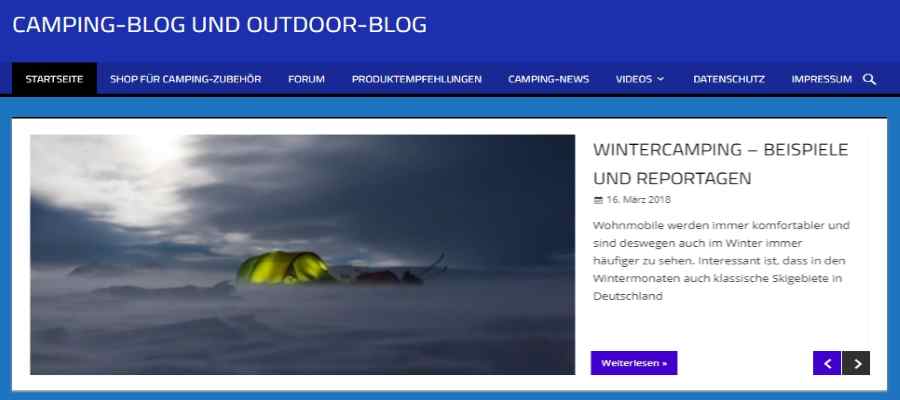 Nischenblog passives Einkommen