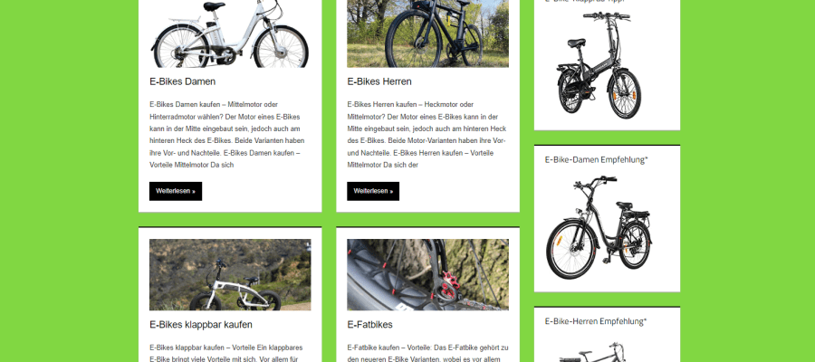 Nischenseite E-Bikes kaufen